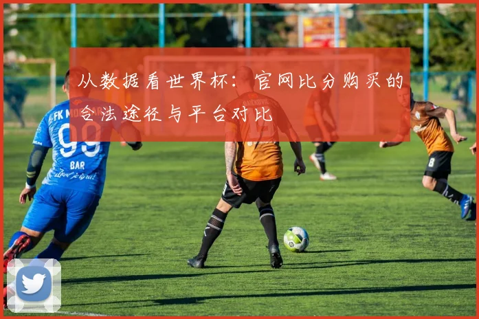 从数据看世界杯：官网比分购买的合法途径与平台对比