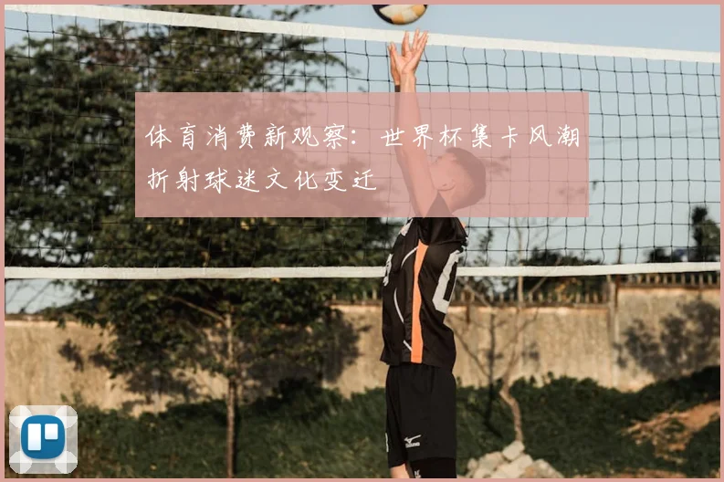 体育消费新观察：世界杯集卡风潮折射球迷文化变迁