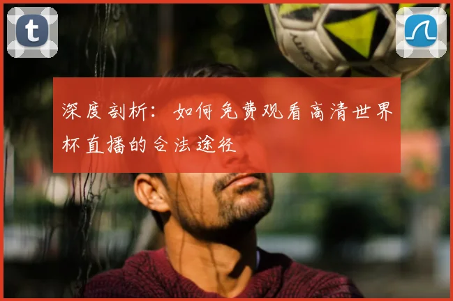 深度剖析：如何免费观看高清世界杯直播的合法途径